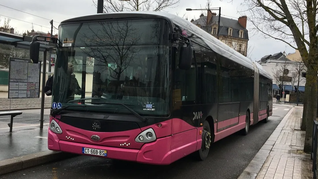 À quelle fréquence utilisez-vous les transports à Dijon ?